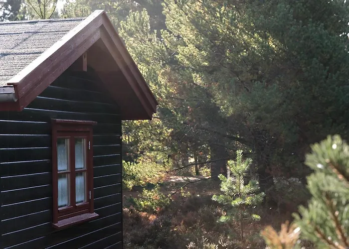 Authentic Summerhouse Near The Casa vacanze *
